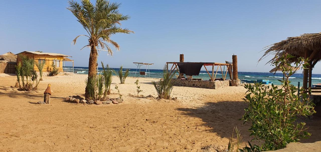 Diana Beach Camp Hotel Nuweiba‘ el Muzeinah Exterior foto