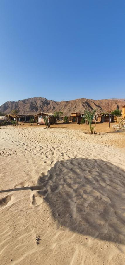 Diana Beach Camp Hotel Nuweiba‘ el Muzeinah Exterior foto